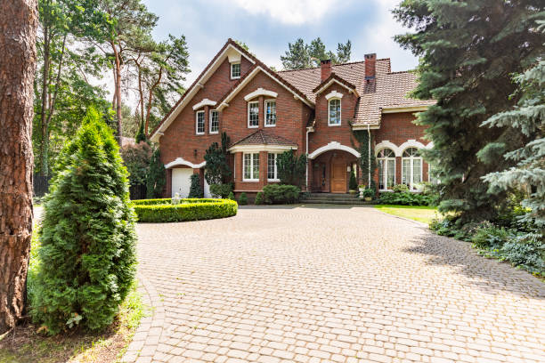 Best Best Driveway Pavers  in Pine Island, MN