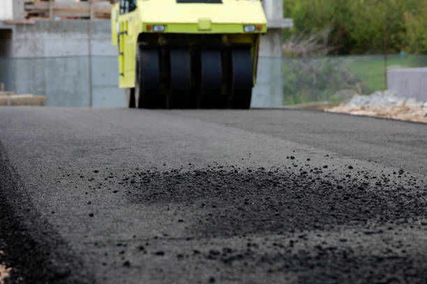 Best Decorative Driveway Pavers  in Pine Island, MN