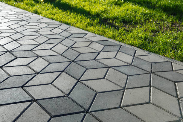 Best Brick Driveway Pavers  in Pine Island, MN