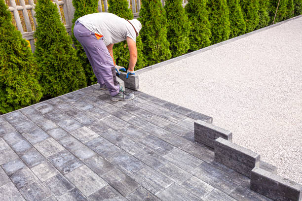 Best Driveway Pavers Near Me  in Pine Island, MN