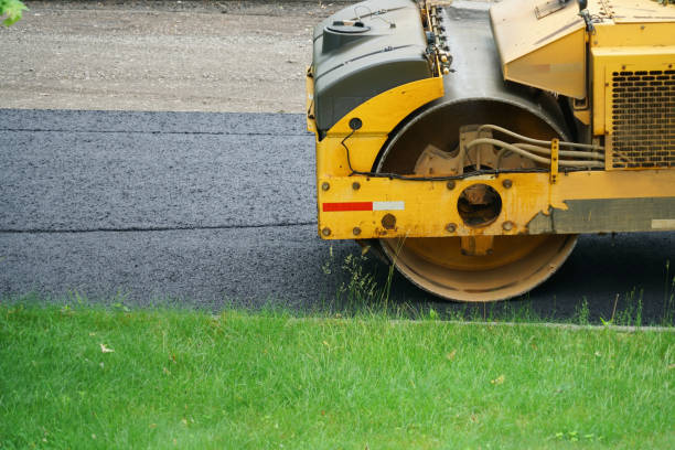 Best Residential Paver Driveway  in Pine Island, MN