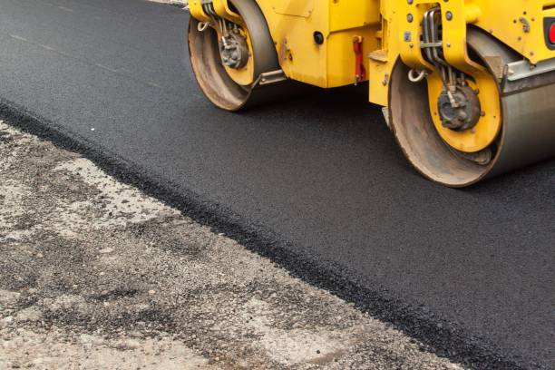 Best Professional Driveway Pavers  in Pine Island, MN